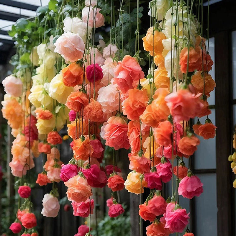 hanging silk apple flower seeds seeds climbing plants easy to live plants yearround planting planting germination indoor and outdoor plants flowers