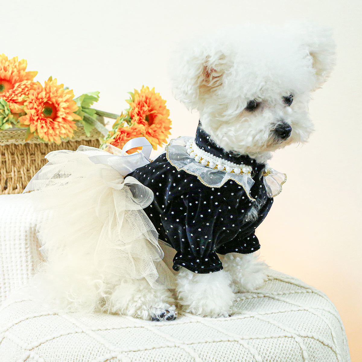 Dog Tutu Wedding Dress, Autumn And Winter New Puppy Gauze Skirt, Bowknot Princess Style Pet Clothes For Small Dogs