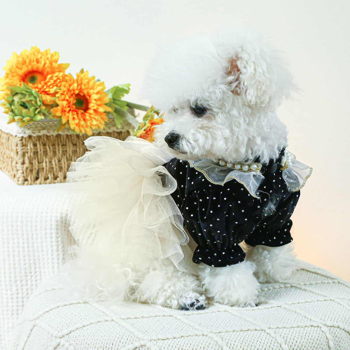 Dog Tutu Wedding Dress, Autumn And Winter New Puppy Gauze Skirt, Bowknot Princess Style Pet Clothes For Small Dogs