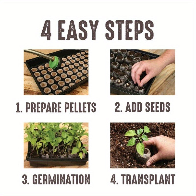 "Starter Kit for Greenhouse Seeds: Nurture Seeds to Blooming Blooms"