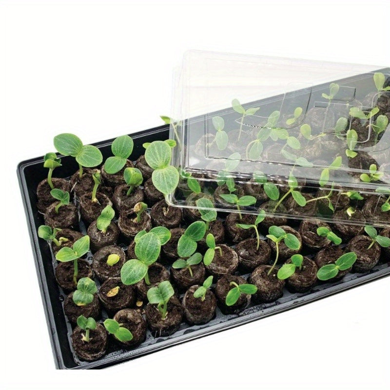 "Starter Kit for Greenhouse Seeds: Nurture Seeds to Blooming Blooms"