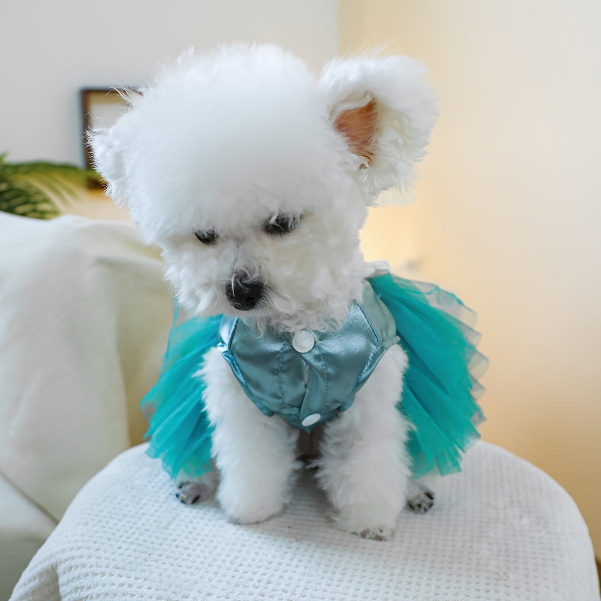 Dog Dreamy Wedding Dress, Blue Princess Dress For Pets, Wedding Dress Dog Clothes