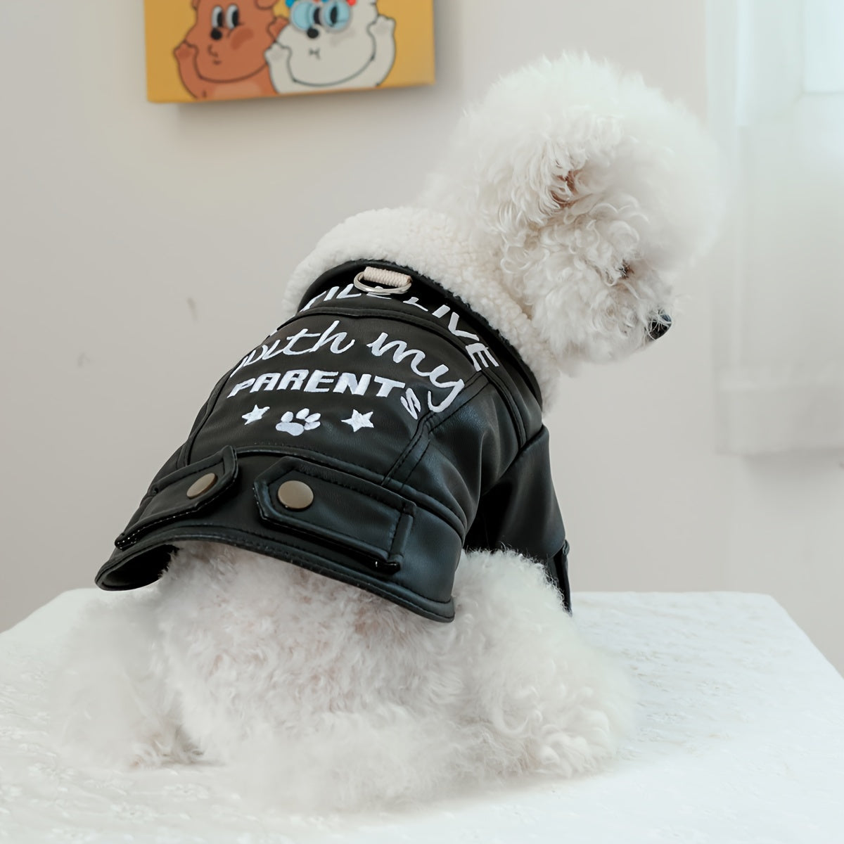 1pc Embroidery Letter Print Dog Coat, Thickened Leather Dog Jacket Comfy Warm Dog Coat For Autumn And Winter