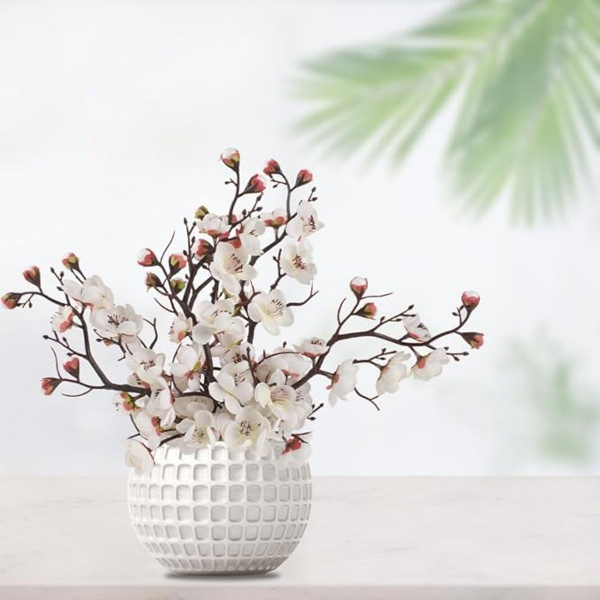 200 Plum Blossom Flowers seeds Garden Plant Seed Flower Japanese Flowering plum Blossom Seeds