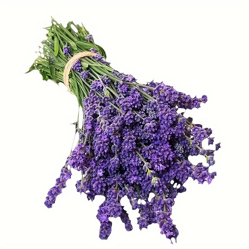 Lavender Flowering Seed for Planting Potted Plant Everblooming Flowering Species Plant Flower Balcony Garden